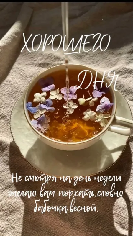 100+ картинок "Хорошего и доброго дня" . Картинки с пожеланями Хорошего и доброго дня
