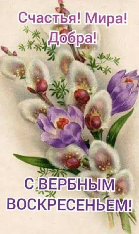 90 Открыток на Вербное Воскресенье. Красивые открытки с Вербным Воскресеньем