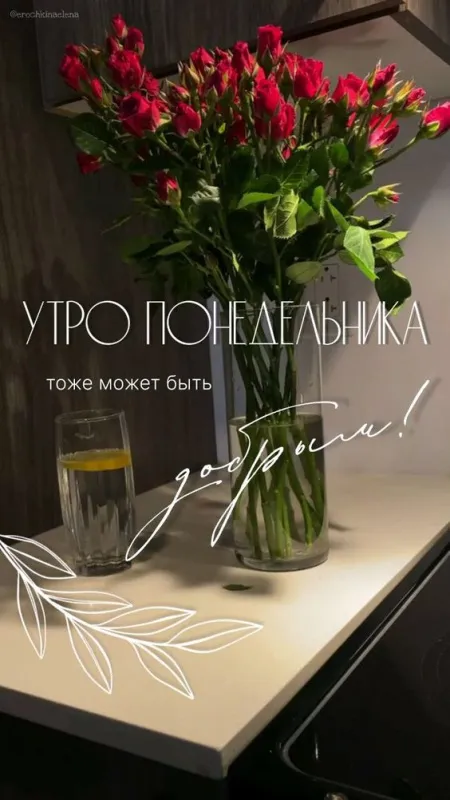 Картинки "Доброе утро понедельника". Красивые картинки Доброго утра понедельника