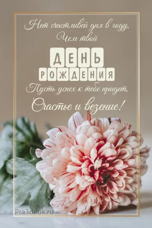 Картинки с Днем рождения женщине . Красивые открытки с Днем рождения женщине