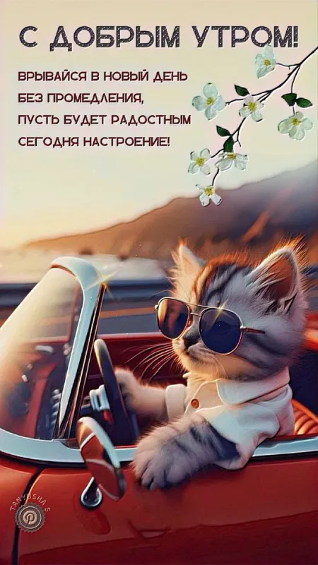 Красивые картинки "Доброе утро". Картинки "Доброе утро" красивые и прикольные