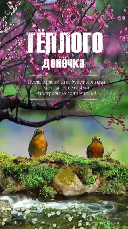 100+ картинок "Хорошего и доброго дня" . Хорошего дня - картинки с пожеланиями