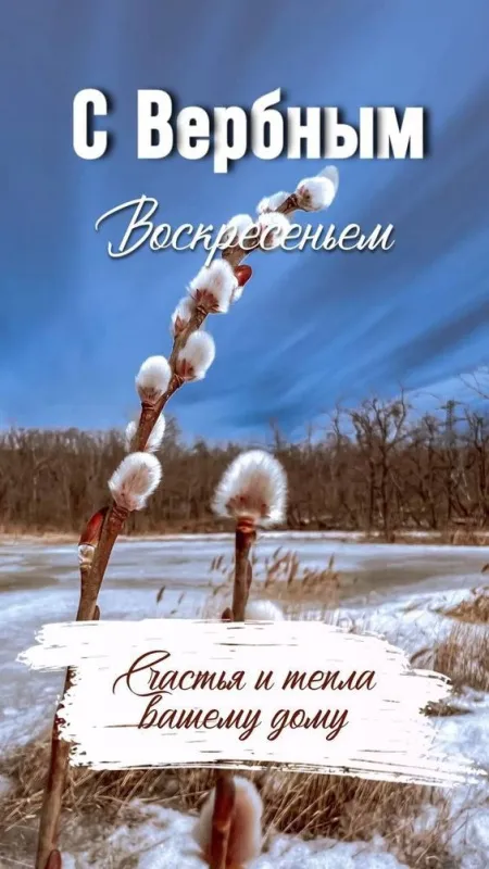 90 Открыток на Вербное Воскресенье. Красивые открытки с Вербным Воскресеньем