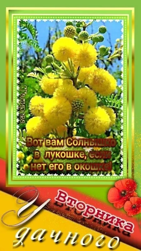 Картинки Доброе утро вторника. Картинки "Доброе утро вторника" красивые