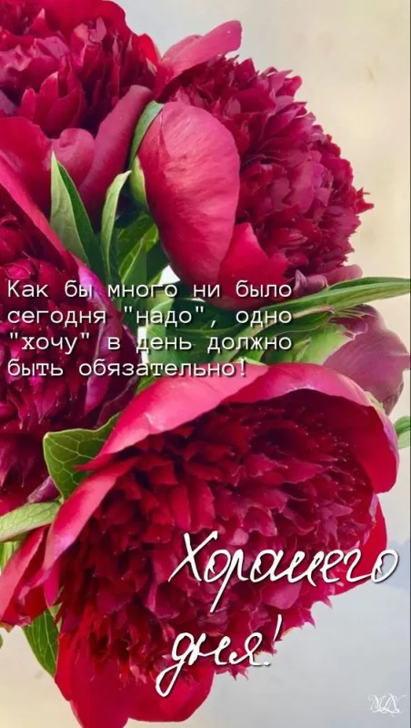 100+ картинок "Хорошего и доброго дня" . Картинки "Хорошего и доброго дня"