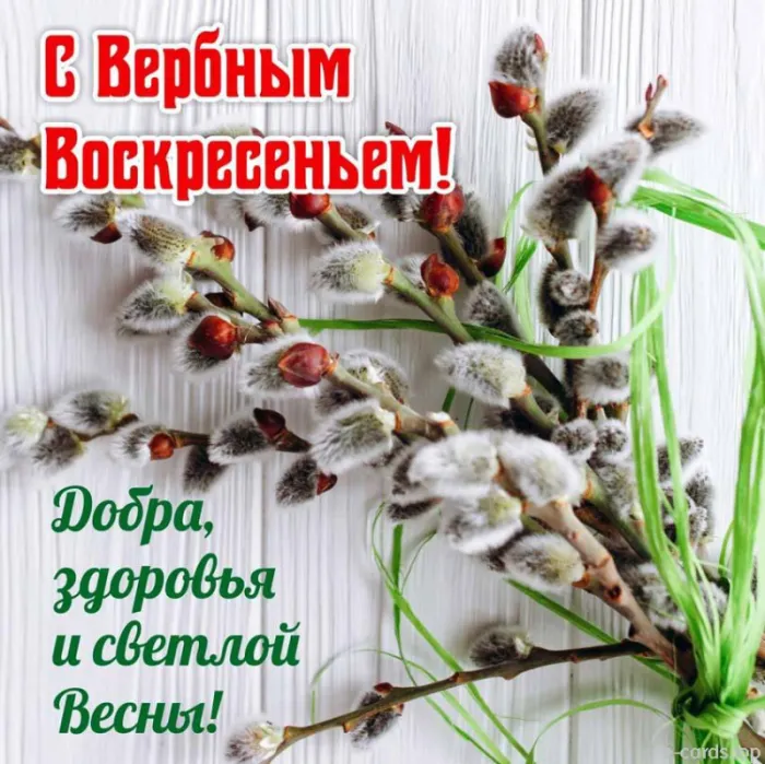 90 Открыток на Вербное Воскресенье. Вербное Воскресенье - открытки с поздравлениями