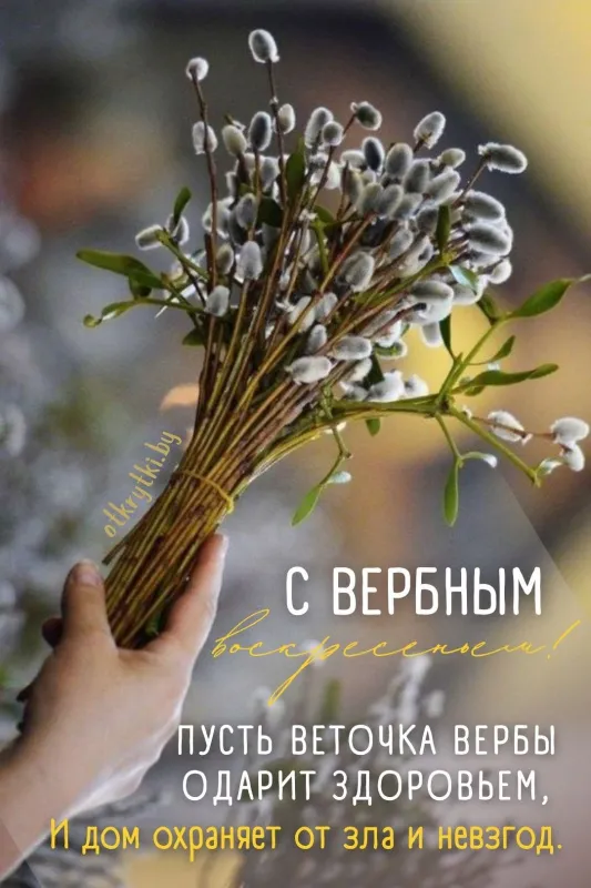 90 Открыток на Вербное Воскресенье. С Вербным Воскресеньм открытки красивые и новые