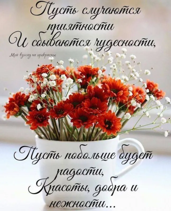 Картинки с Днем рождения женщине . С Днем рождения женщине - открытки позитивные