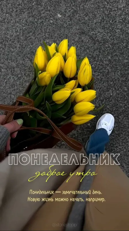 Картинки "Доброе утро понедельника". Красивые картинки Доброго утра понедельника