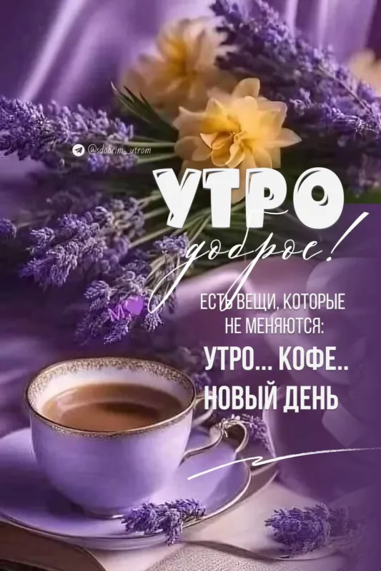 Красивые картинки "Доброе утро". Доброе утро - картинки красивые и новые