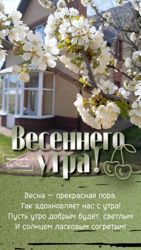 Красивые картинки "Доброе утро". Доброе утро - картинки красивые с пожеланиями