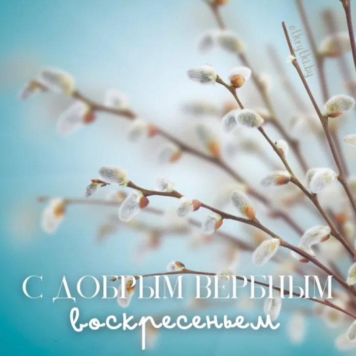 90 Открыток на Вербное Воскресенье. Вербное Воскресенье - открытки с поздравлениями