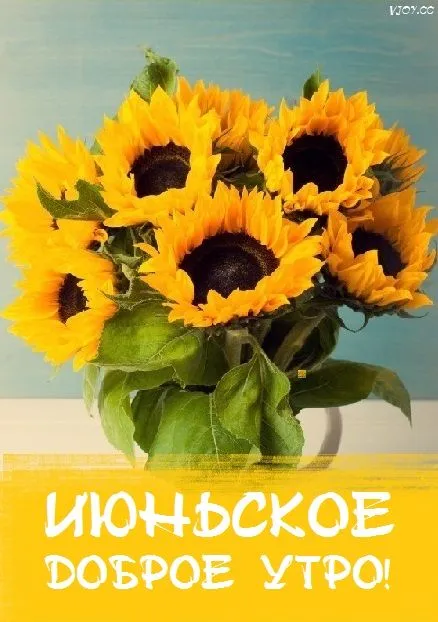 Картинки с Добрым утром июня. Картинки Доброе утро июня
