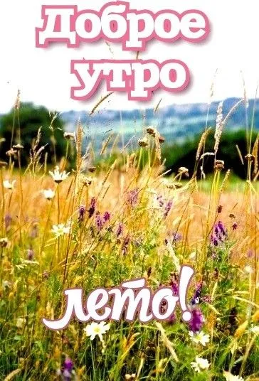 Картинки с Добрым утром июня. Картинки Доброе утро июня