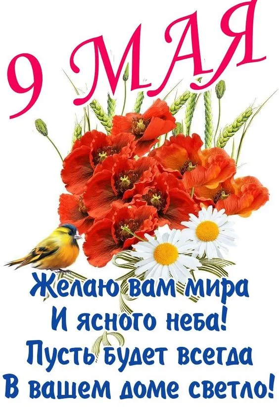 Красивые картинки на 9 мая. 9 мая - открытки и картинки с поздравлениями