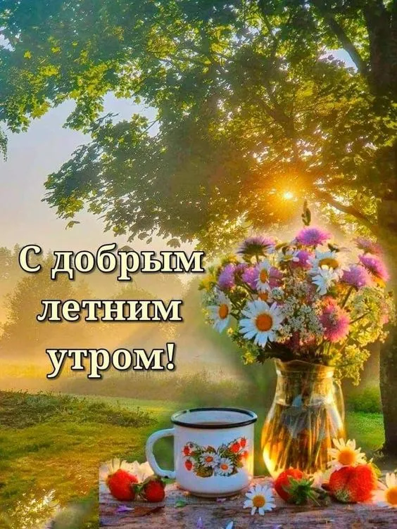 Красивые картинки с Добрым летним утром. Картинки "Доброе летнее утро" красивые