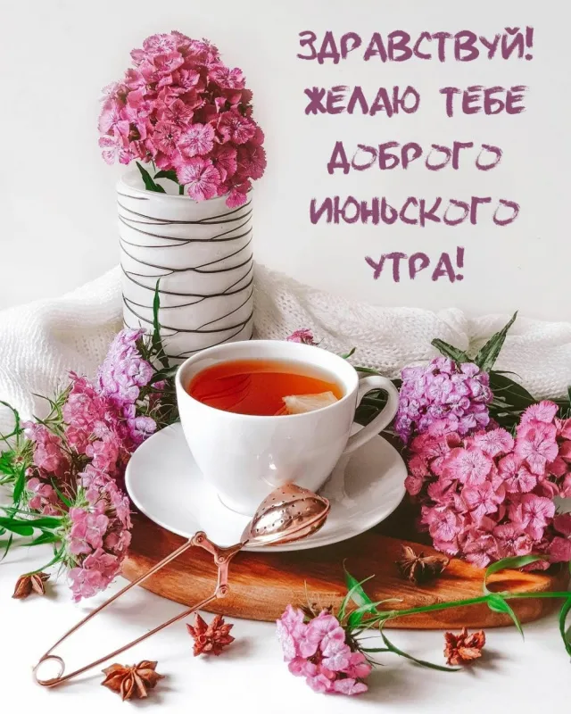 Картинки с Добрым утром июня. Картинки Доброе утро июня