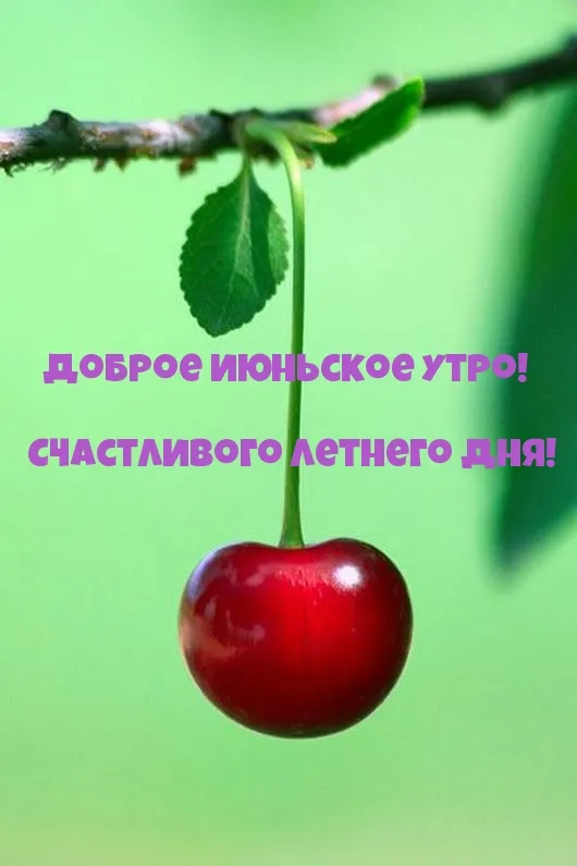 Картинки с Добрым утром июня. Доброе утро июня - картинки с пожеланиями