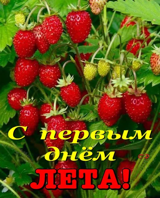 Картинки с началом лета. С началом лета - картинки с пожеланиями