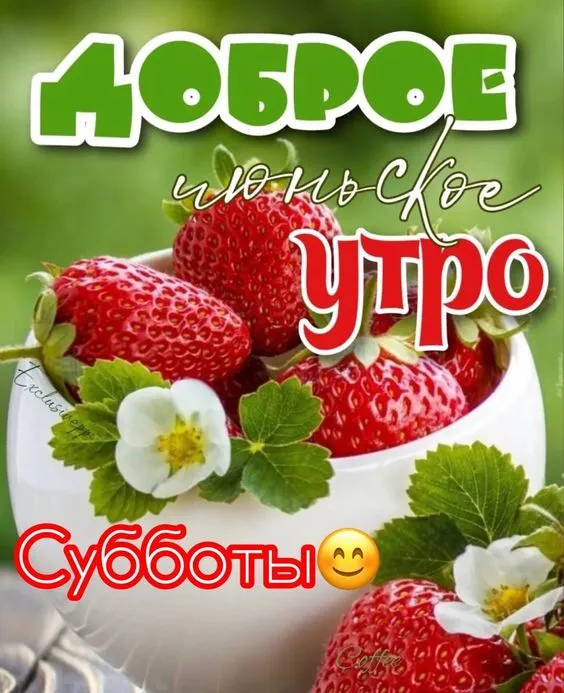 Красивые картинки с Добрым летним утром. Доброе летнее утро - картинки с пожеланиями