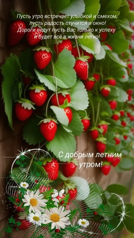 Красивые картинки с Добрым летним утром. Доброе летнее утро - картинки с пожеланиями