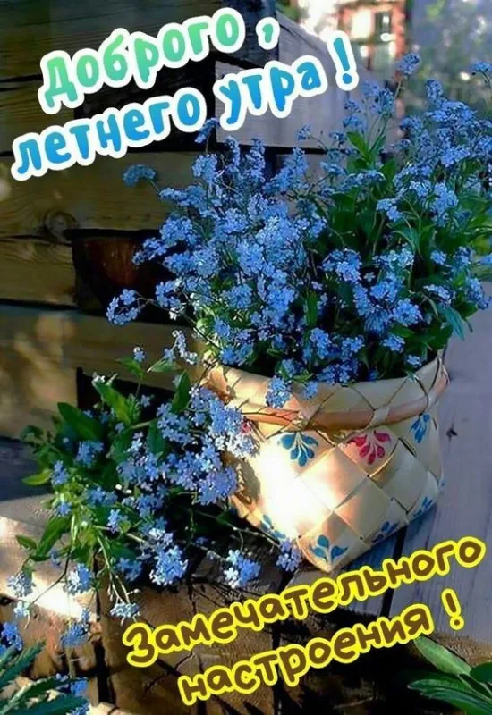 Красивые картинки с Добрым летним утром. Доброе летнее утро - картинки с пожеланиями