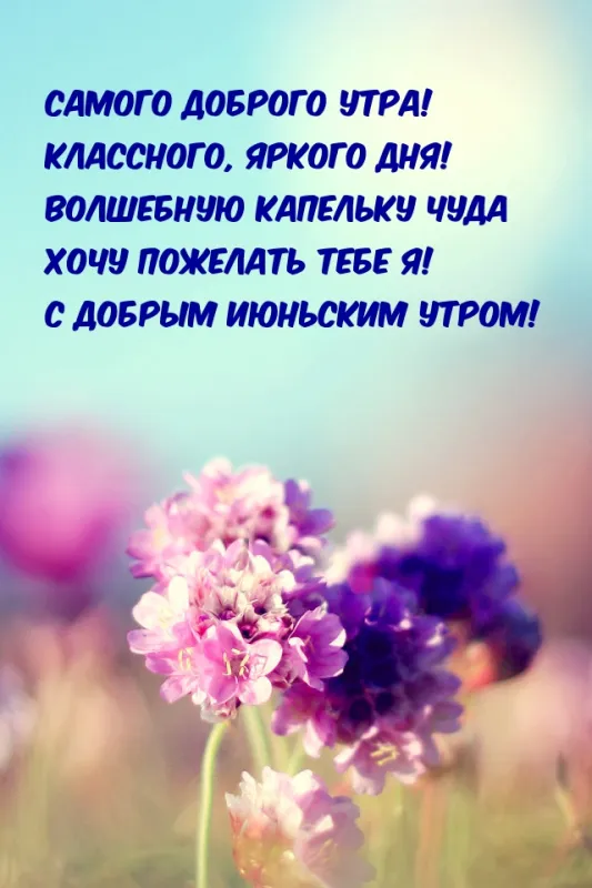 Картинки с Добрым утром июня. Доброе утро июня - картинки с пожеланиями