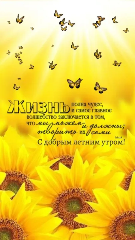 Картинки с Добрым утром июня. Доброе утро июня - картинки летние