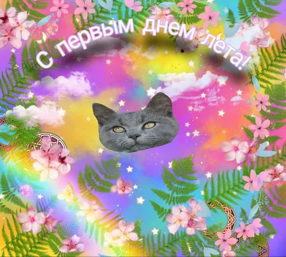 Картинки с началом лета. С началом лета - картинки с пожеланиями
