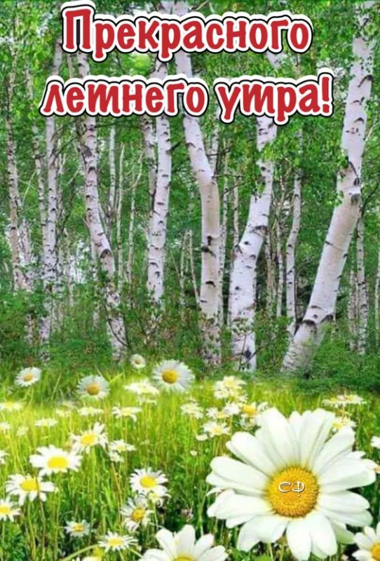 Красивые картинки с Добрым летним утром. Картинки с Добрым летним утром