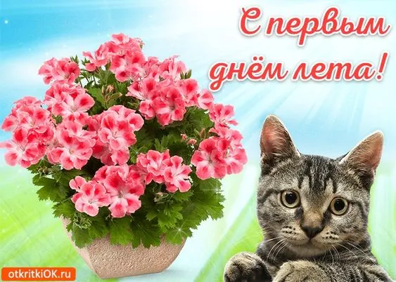 Картинки с началом лета. С началом лета - картинки с пожеланиями