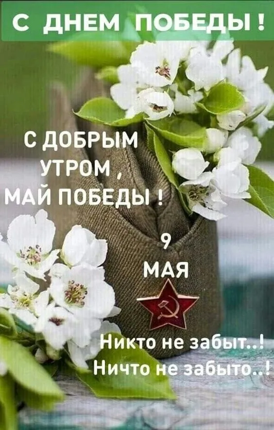 Картинки на День Победы. Красивые картинки с Днем Победы 2025