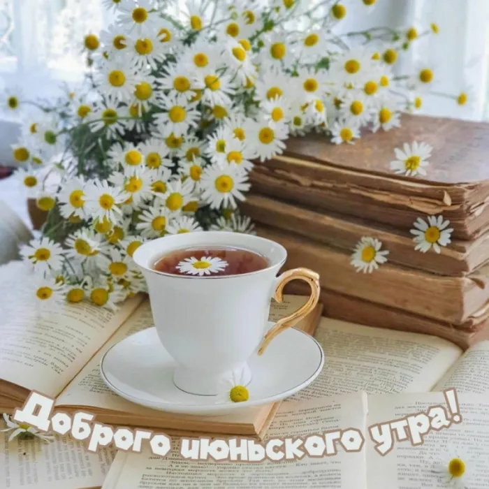 Картинки с Добрым утром июня. Доброе утро июня - картинки летние