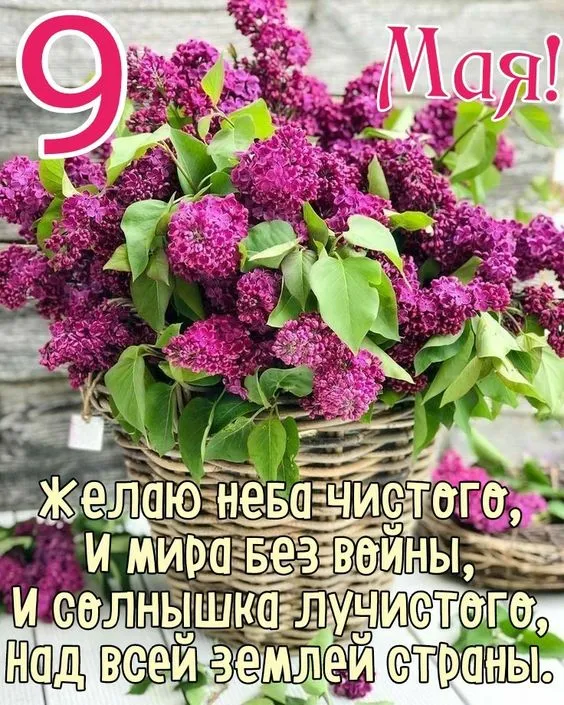 Картинки на День Победы. С Днем Победы - картинки с пожеланиями