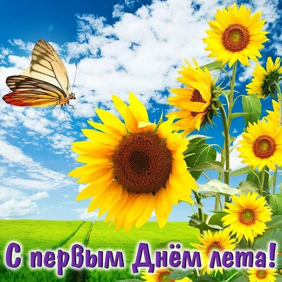Картинки с началом лета. Красивые картинки с Первым Днем лета