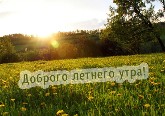 Картинки с Добрым утром июня. Доброе утро июня - картинки летние