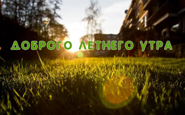 Картинки с Добрым утром июня. Доброе утро июня - картинки летние