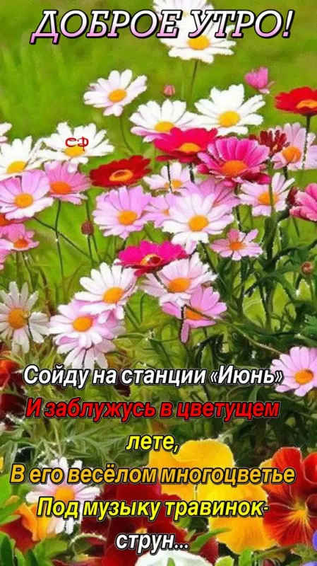 Картинки с Добрым утром июня. Картинки Доброе утро июня