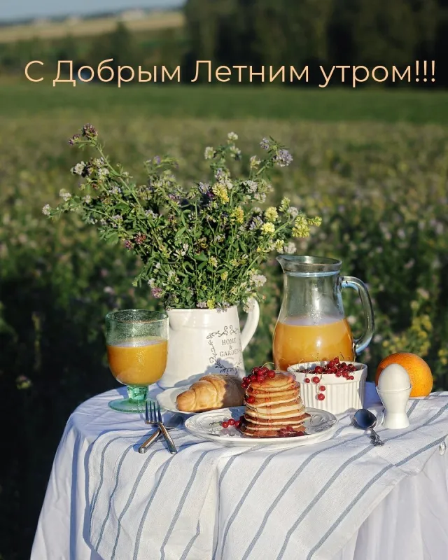 Красивые картинки с Добрым летним утром. Картинки с Добрым летним утром