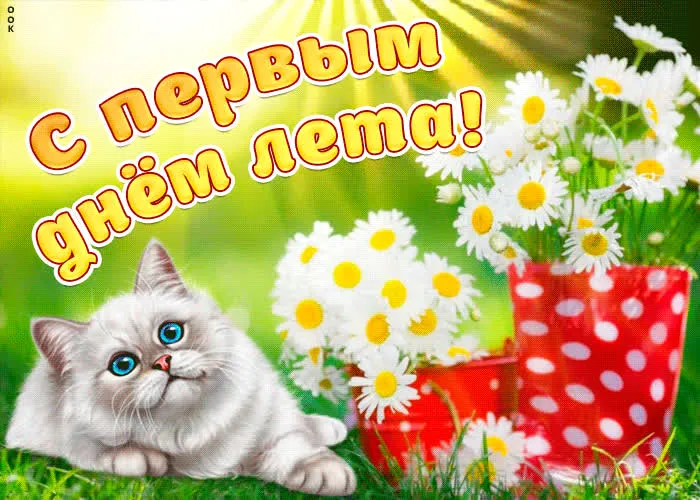 Картинки с началом лета. Красивые картинки с Первым Днем лета