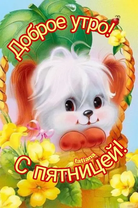 Прикольные картинки Доброе утро пятницы. Прикольные картинки Доброе утро пятницы