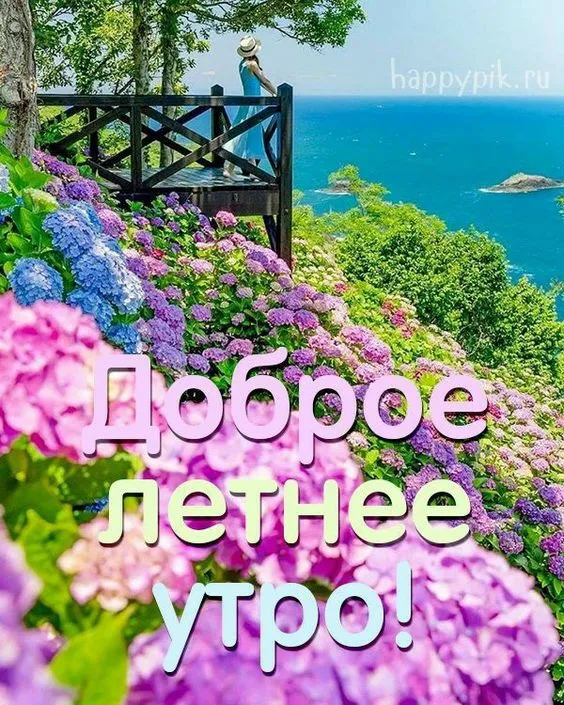 Красивые картинки с Добрым летним утром. Картинки "Доброе летнее утро" красивые