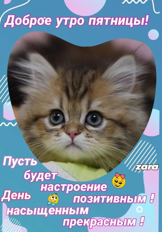 Прикольные картинки Доброе утро пятницы. Прикольные картинки Доброе утро пятницы