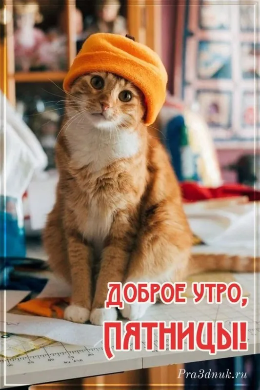Прикольные картинки Доброе утро пятницы. Прикольные картинки Доброе утро пятницы