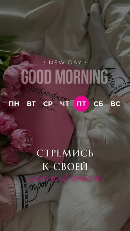 Прикольные картинки Доброе утро пятницы. Доброе утро пятницы картинки красивые
