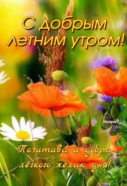 Картинки с Добрым утром июня. Картинки Доброе утро июня