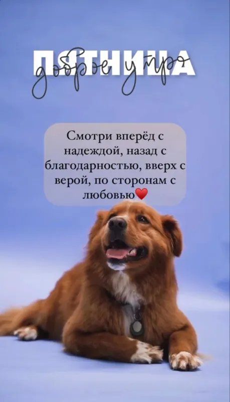 Прикольные картинки Доброе утро пятницы. Прикольные картинки Доброе утро пятницы