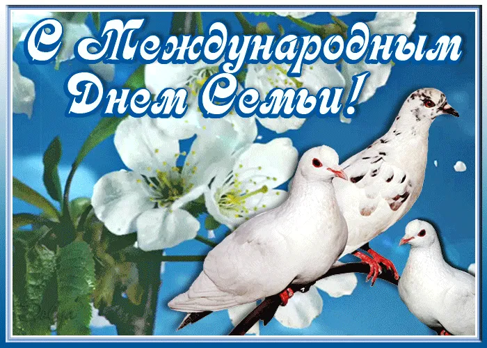 Картинки и открытки с Международным Днем семьи. Картинки с Международным Днем семьи