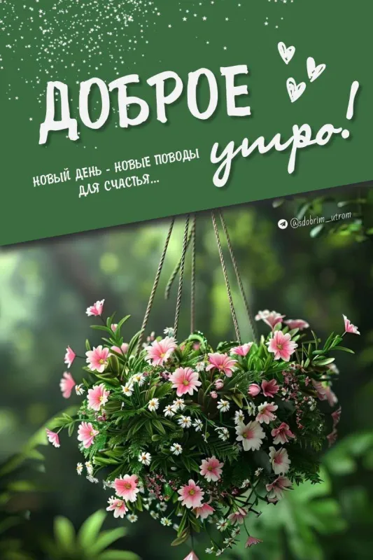 Красивые картинки с Добрым летним утром. Доброе летнее утро - картинки с пожеланиями