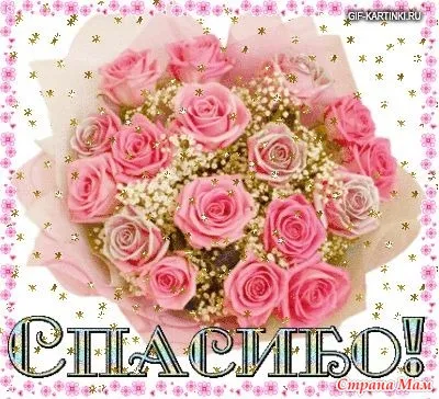 Картинки и гифки "Спасибо" красивые и прикольные. Картинки с надписями Спасибо